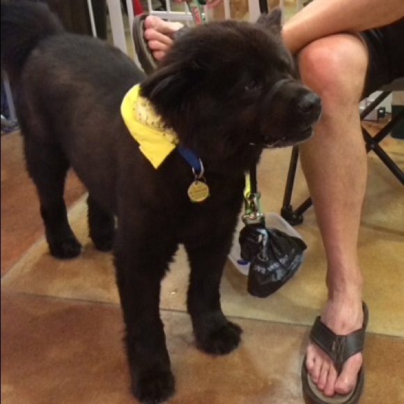 Meet your Posher, Mari - Picture 5 of 11